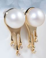 ������װ