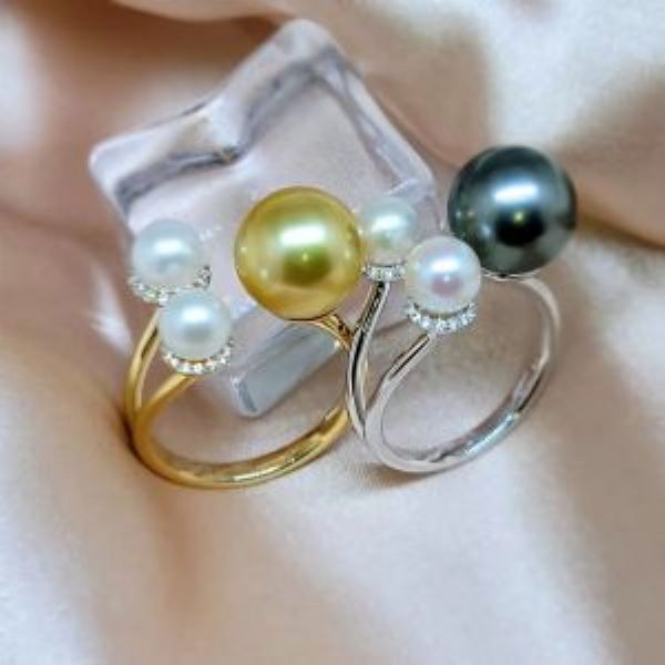 �����ָϵ��