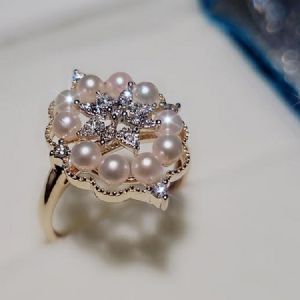 �����ָϵ��