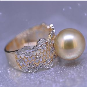 �ݻ������ָϵ��