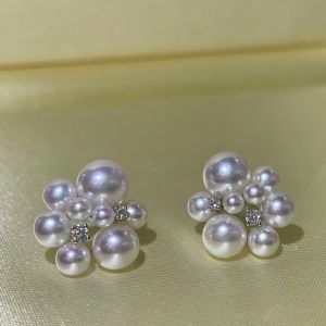 ����ϵ��