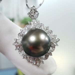 ������׹ϵ��