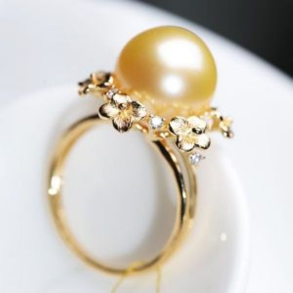 ������ָϵ��