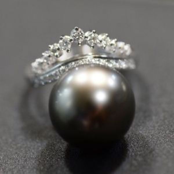 �����ָϵ��