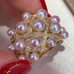 �����ָϵ��