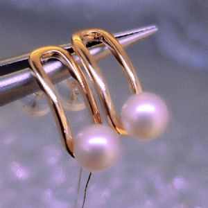 ��Լ����ϵ��