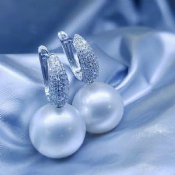 ������Ƕ�����ָ