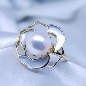 ��Լ�����ָϵ��