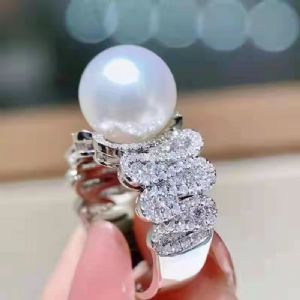 ���������ָ