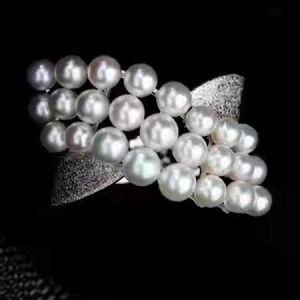 �����ָϵ��