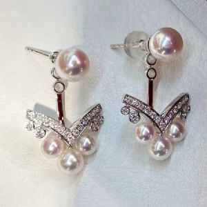 �������ϵ��