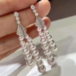 �������ϵ��