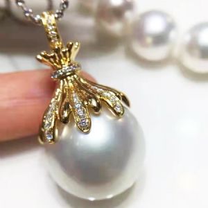 ������׹ϵ��