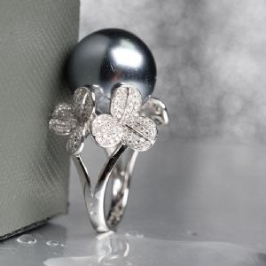 ������Ƕ�����ָ