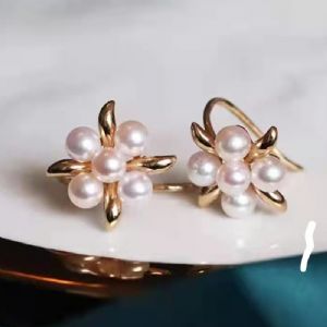 �������ϵ��