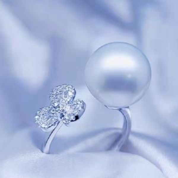 ������Ƕ�����ָ