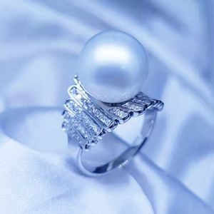 ������Ƕ�����ָ