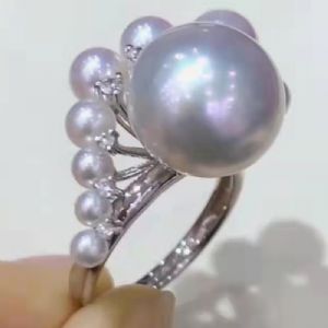 �����ָϵ��