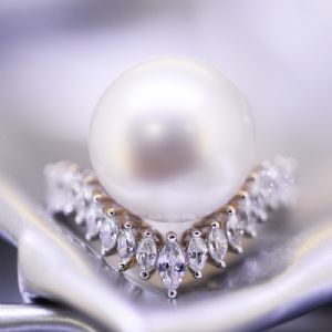 ������Ƕ�����ָ