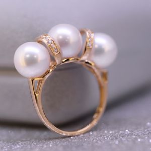 �����ָϵ��