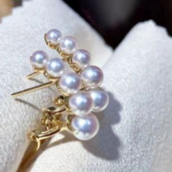 �������ϵ��