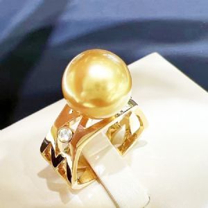 ��Լ�����ָϵ��