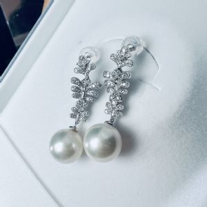 �����������ϵ��