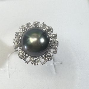 ���������ָϵ��